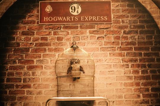 No Harryja Pottera E Knji Are Pretvoriti U Hogwarts Zabranjeni