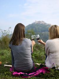 Wine&Walk Istra