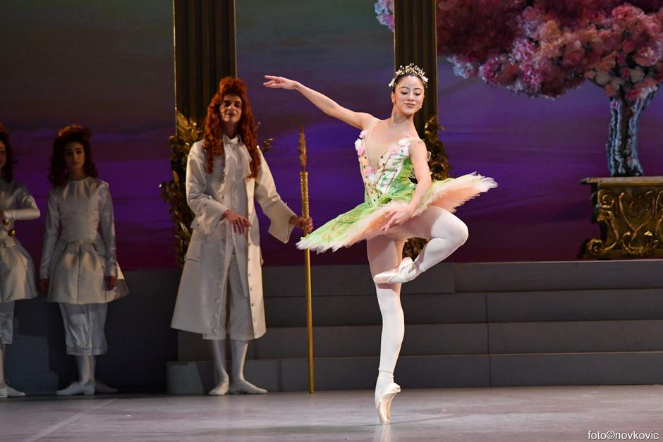  | Autor: Ines Novković