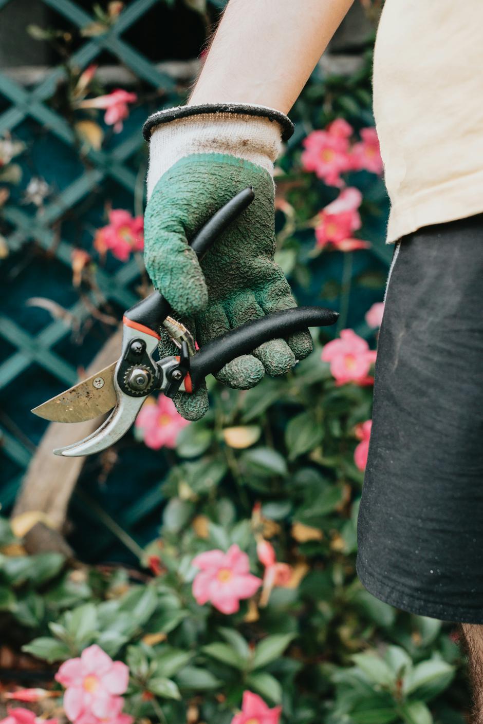  | Autor: Unsplash+/A. C.