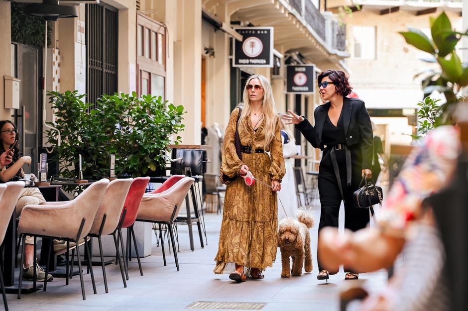  | Autor: Robert Gašpert