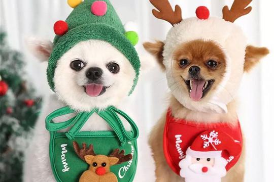 Božićni kostimi za kućne ljubimce