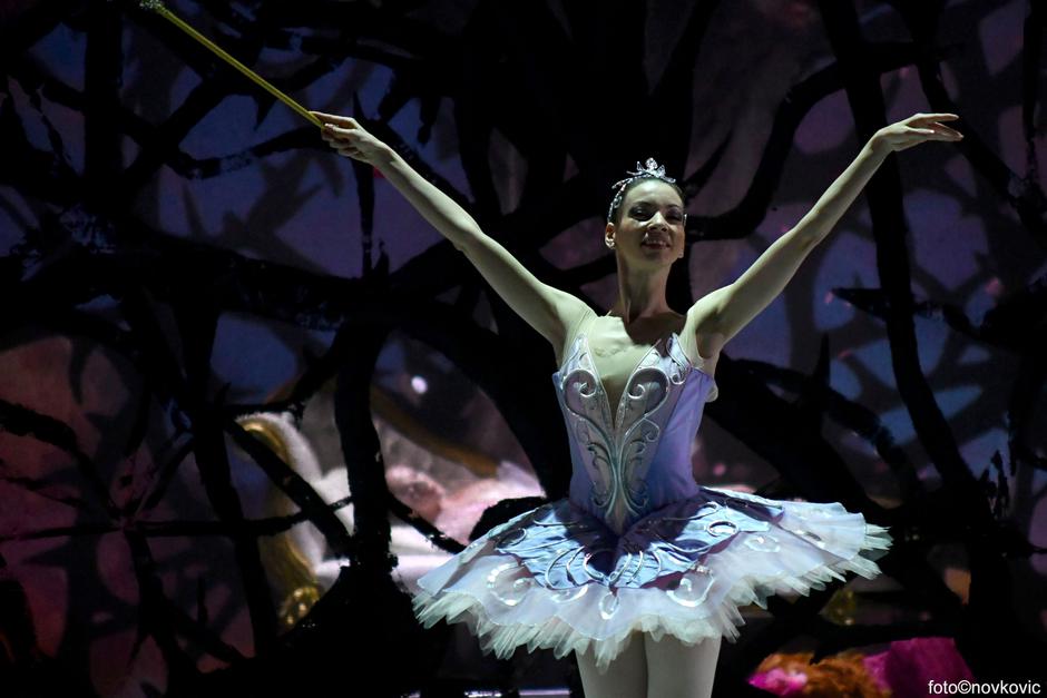  | Autor: Ines Novković