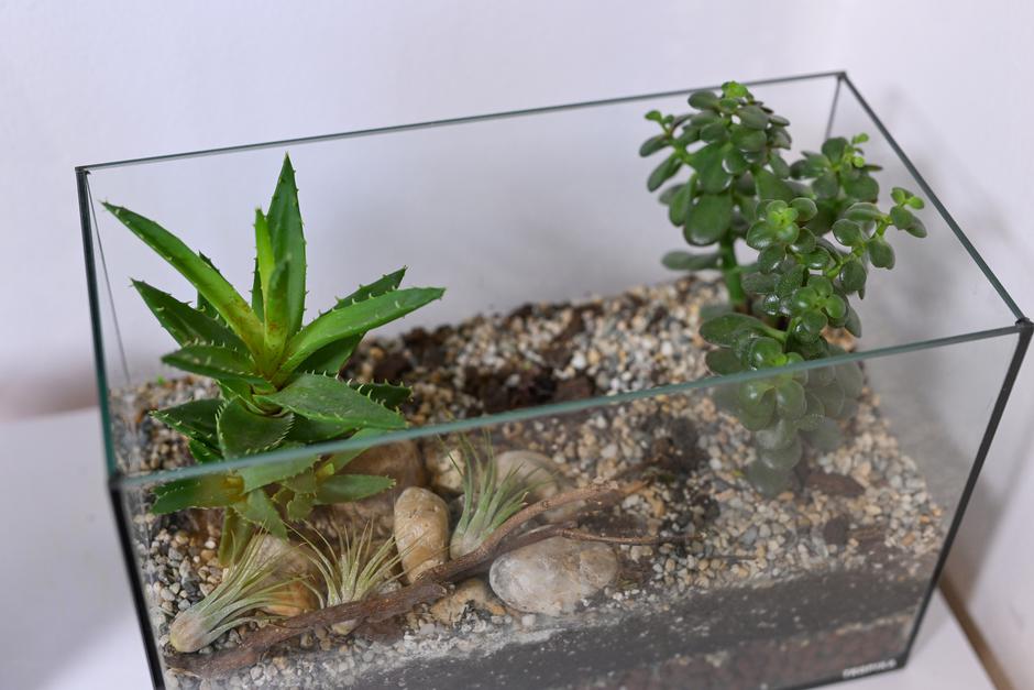  | Autor: Pixsell/Igor Šoban