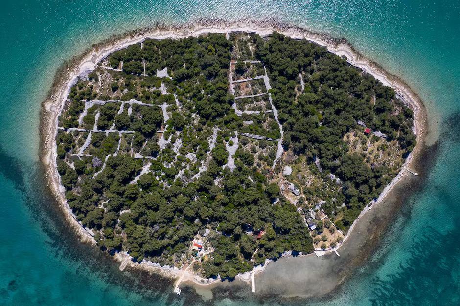  | Autor: Airbnb/Robinson house 'La Vida'