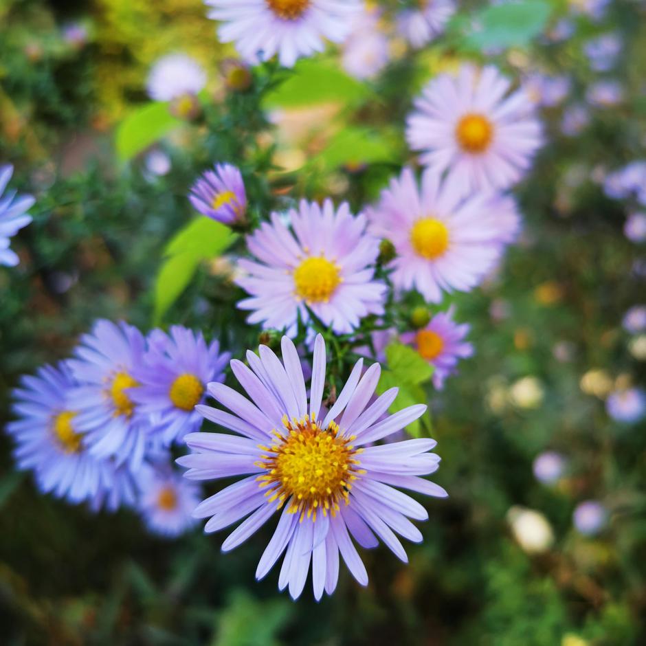  | Autor: Unsplash/Victoria Koch