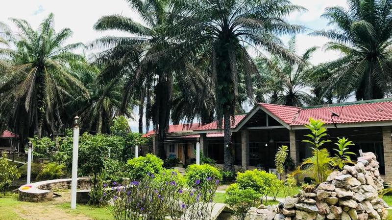 Duuugo spavanje, vrtlarenje i patkice umjesto sastanka: Otvoren je 'umirovljeni&ccaron;ki' dom za burnout generaciju