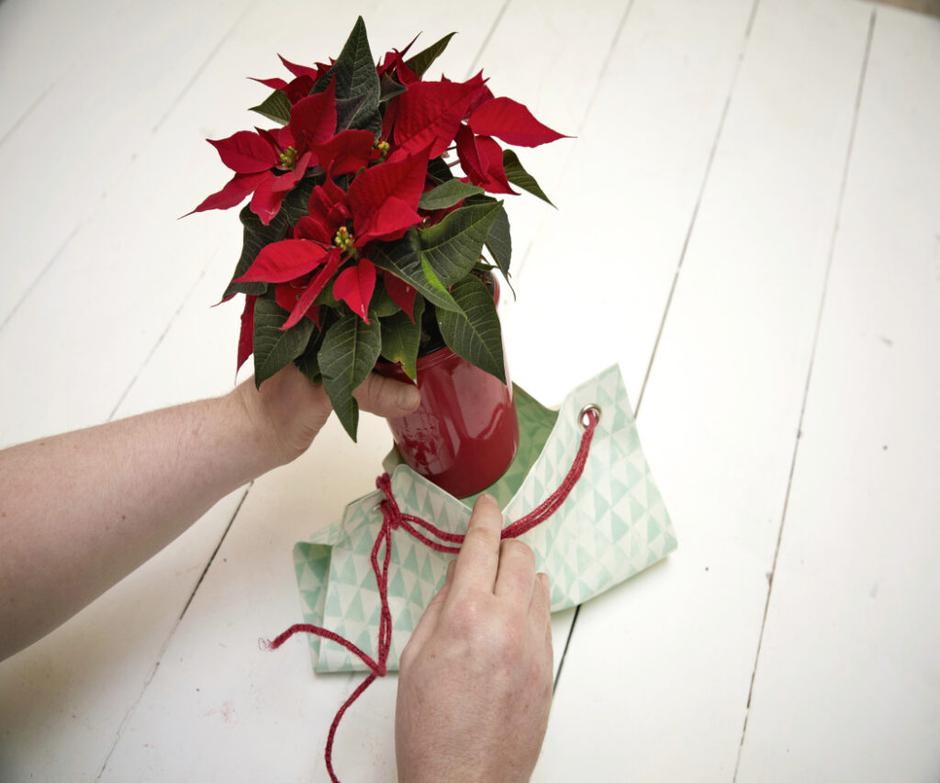  | Autor: https://starsforeurope.com/hr/