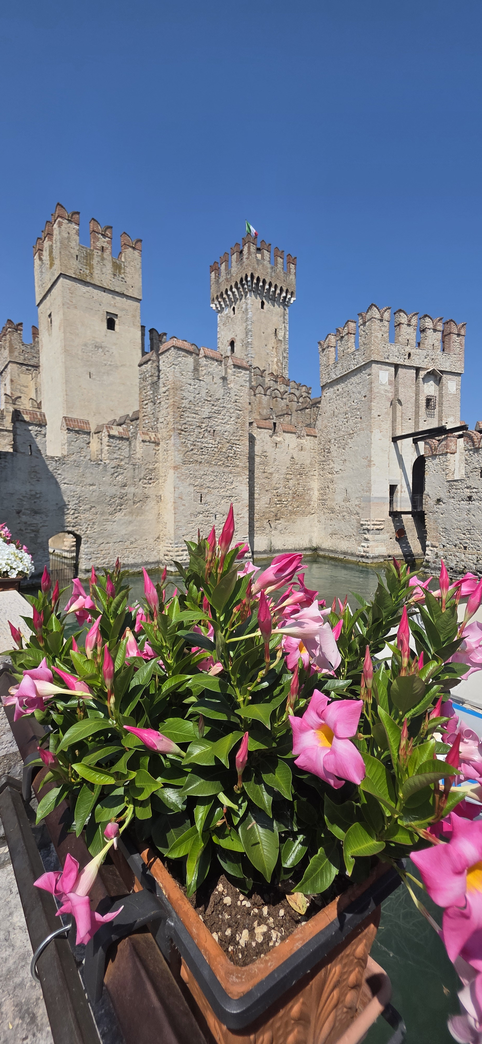  | Autor: Privatni album