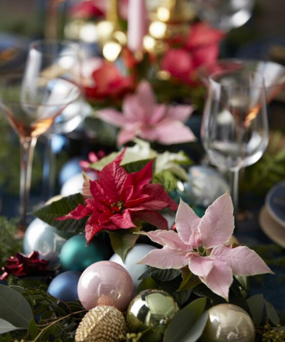  | Autor: https://starsforeurope.com/hr/