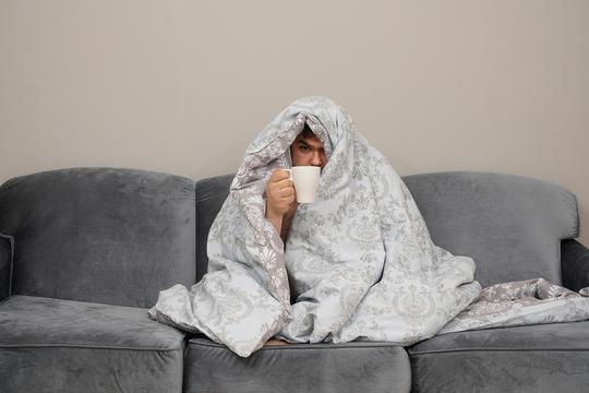 Muška gripa: istina ili mit?