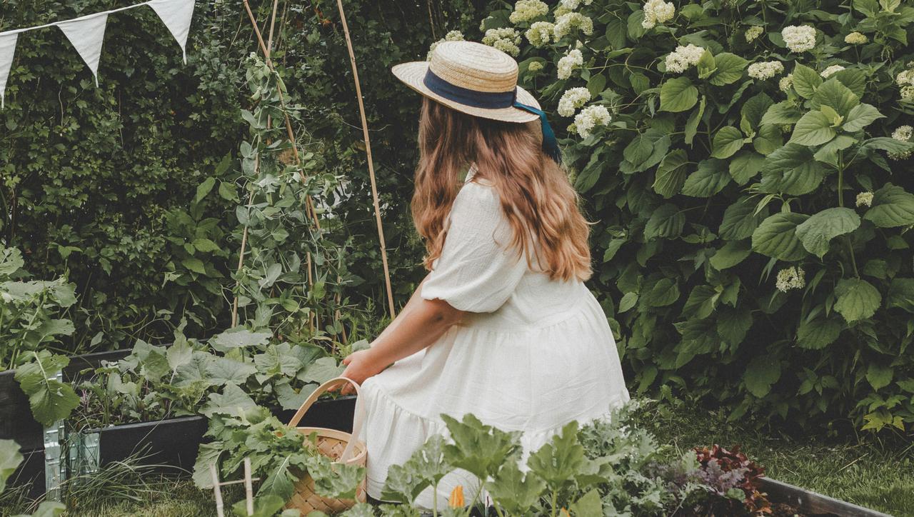 Kako koristiti cimet u vrtu