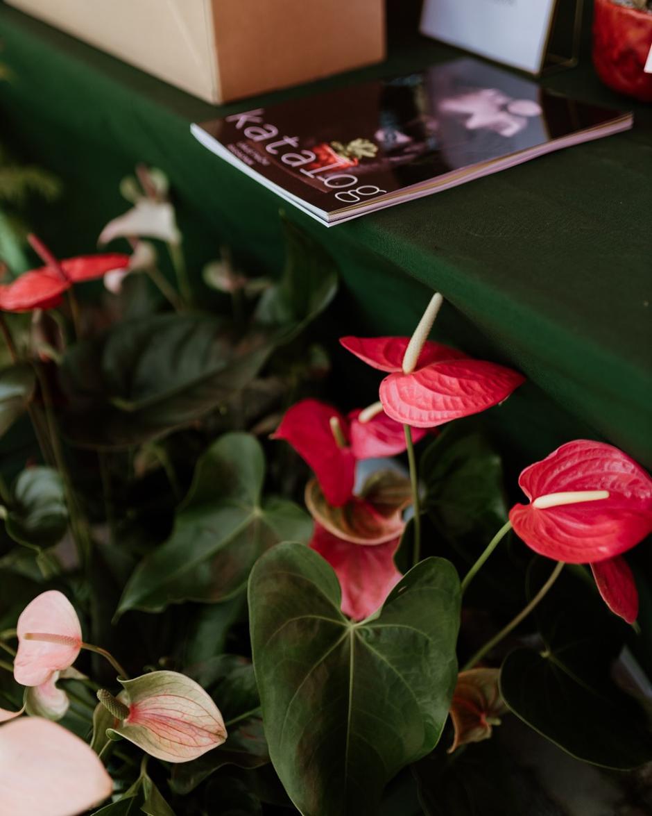  | Autor: Facebook/Hortiart