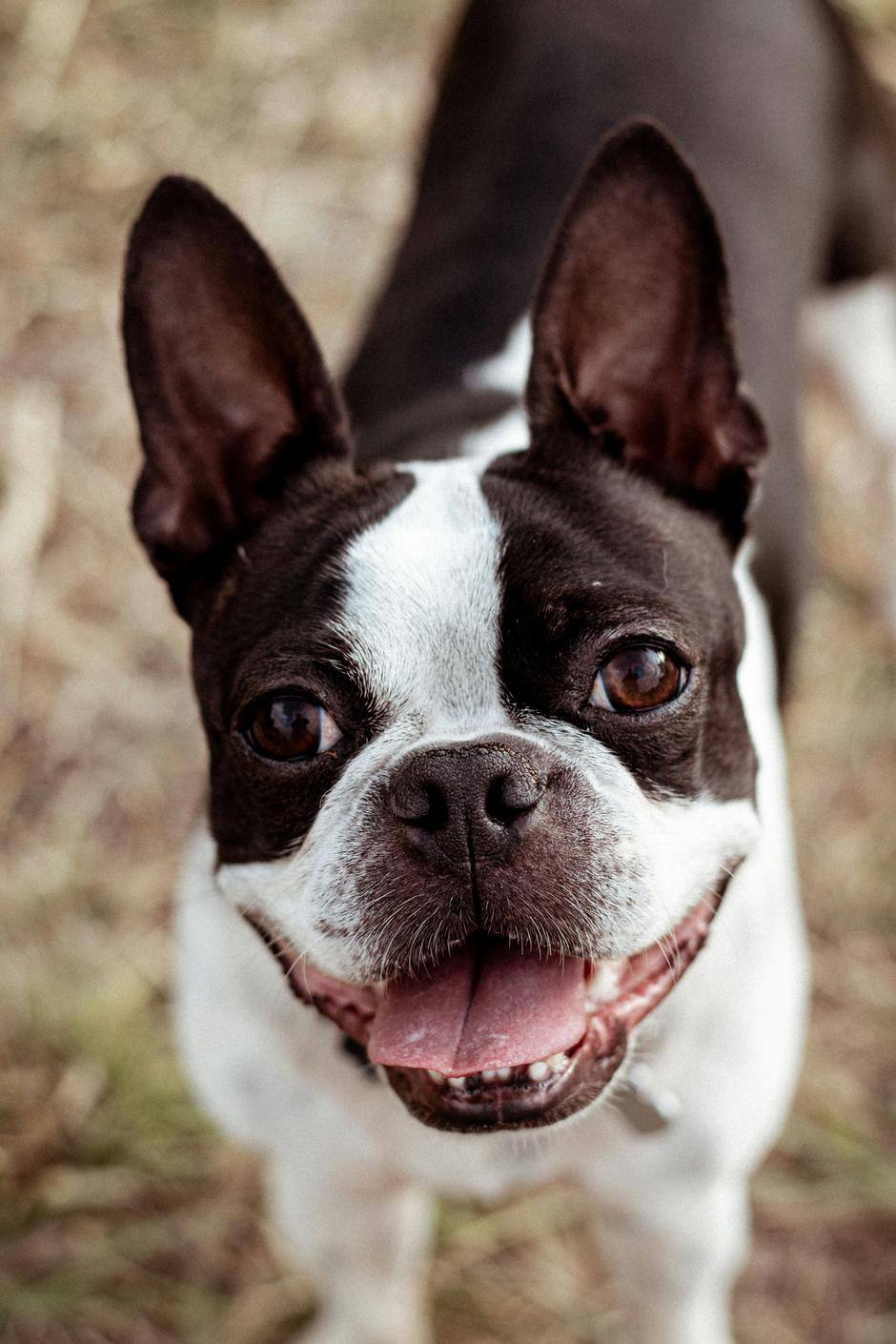  | Autor: Unsplash/Robyn Joanna Nicholls