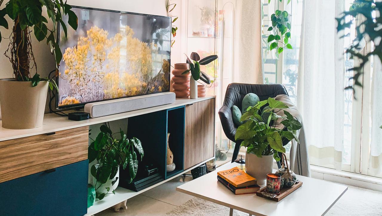 Sobne biljke koje će preživjeti godišnji