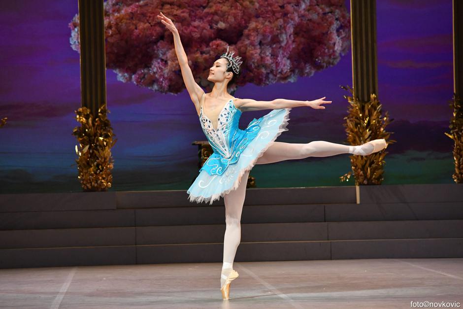  | Autor: Ines Novković