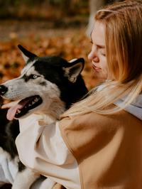 Pasmina i osobnost vlasnika