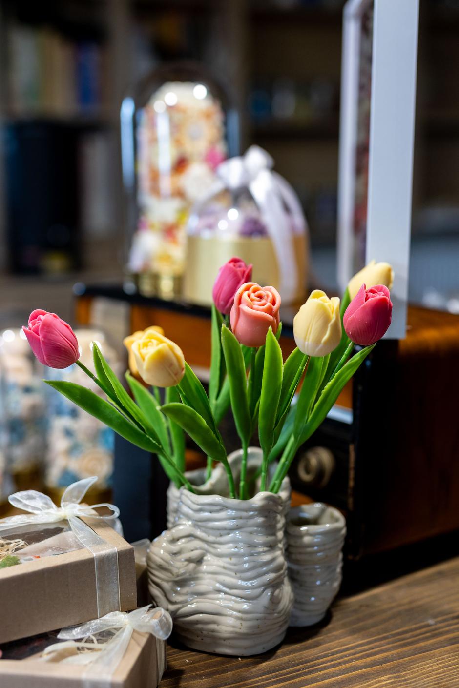  | Autor: Pixsell / Igor Kralj