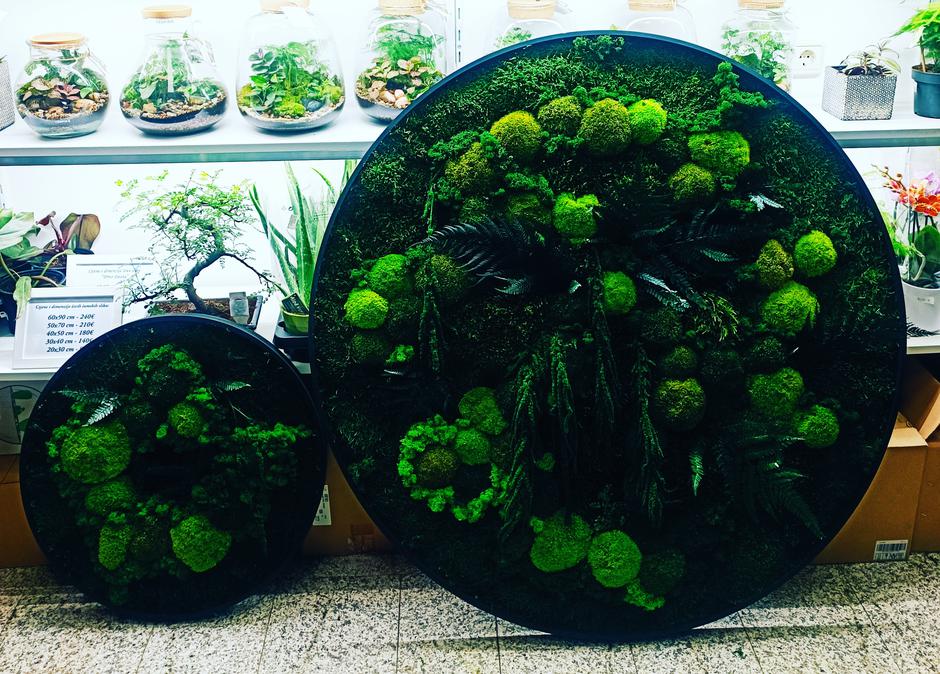  | Autor: Tropika Green Butique