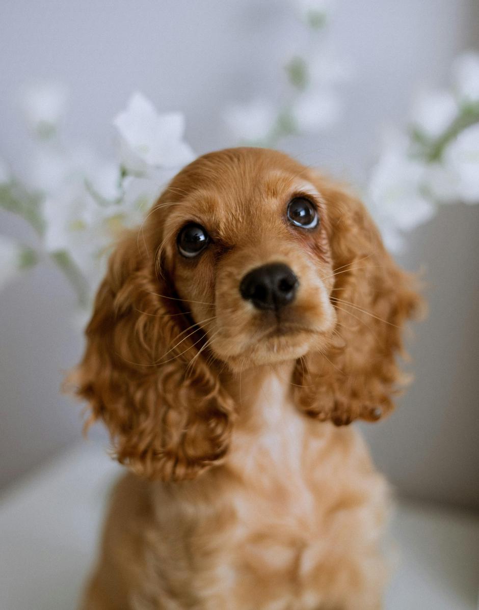  | Autor: Unsplash / Alsu Vershinina