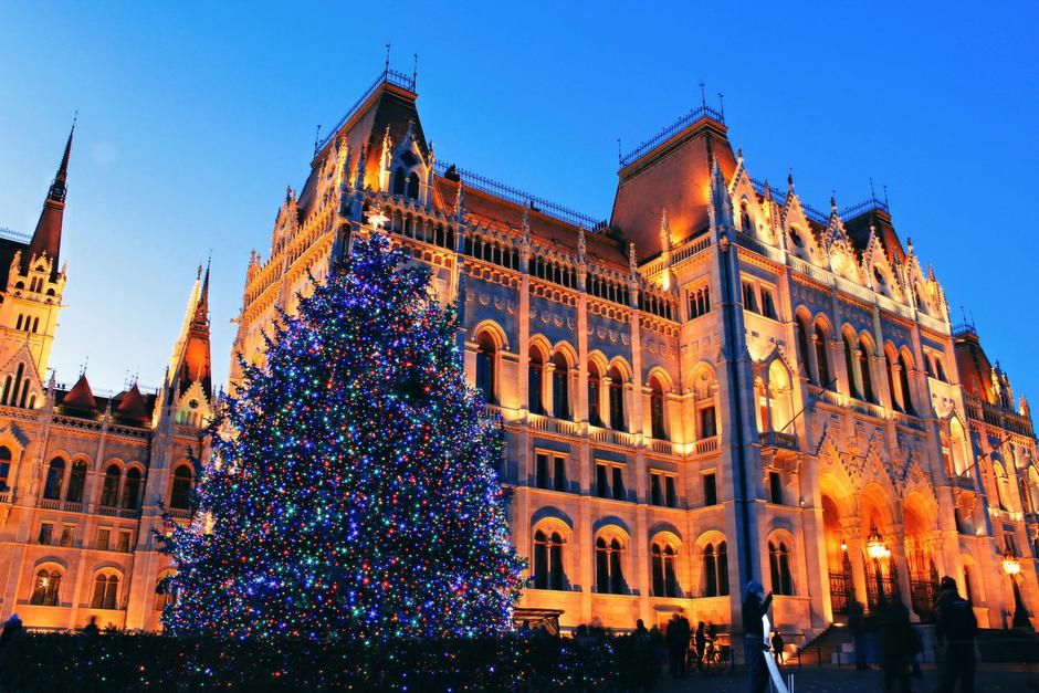  | Autor: Bojána Noémi Molnár/ Pexels