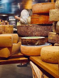 Najbolji sir na svijetu u 2025.