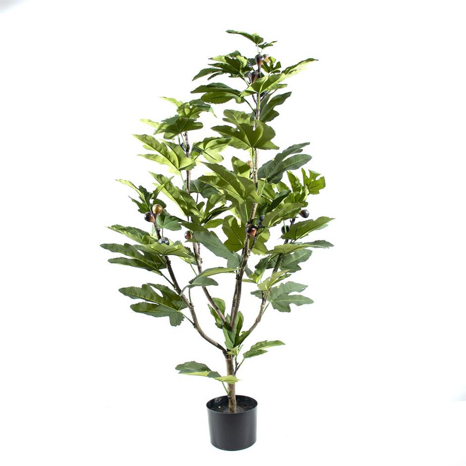  | Autor: Dobar partner