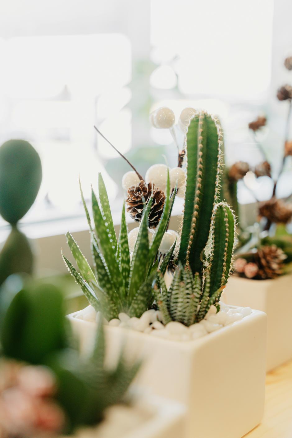  | Autor: Unsplash+/Taylor Daugherty