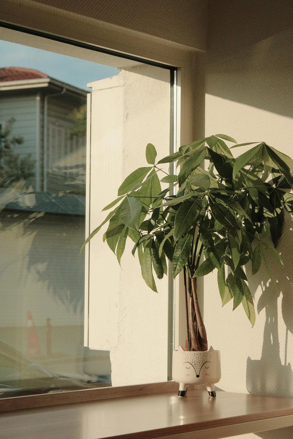  | Autor: Pexels/neslihan