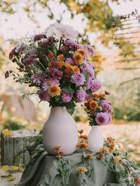 Cvijeće koje cvate u jesen