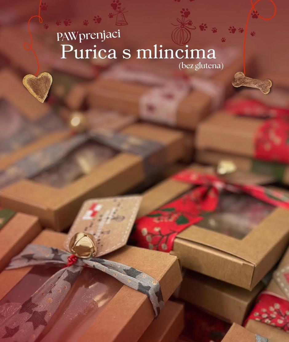  | Autor: Pawsitively Croatian