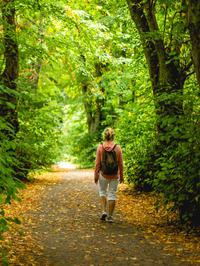Šetnja po šumi ima brojne zdravstvene benefite