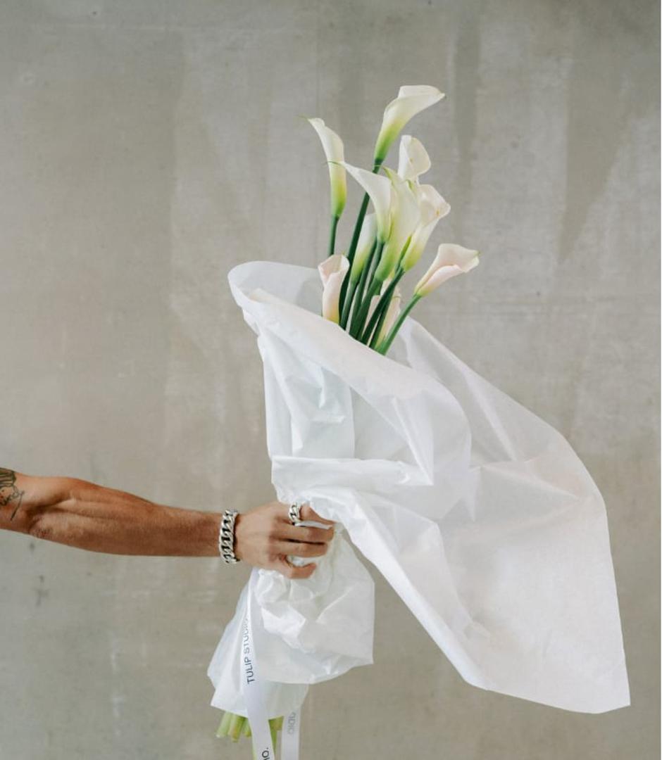  | Autor: Tulip Studio