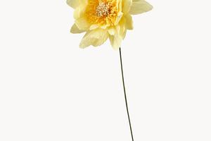 FOTO: Umjetno cvijeće sve nam je draže. Evo primjeraka koji djeluju totalno prirodno