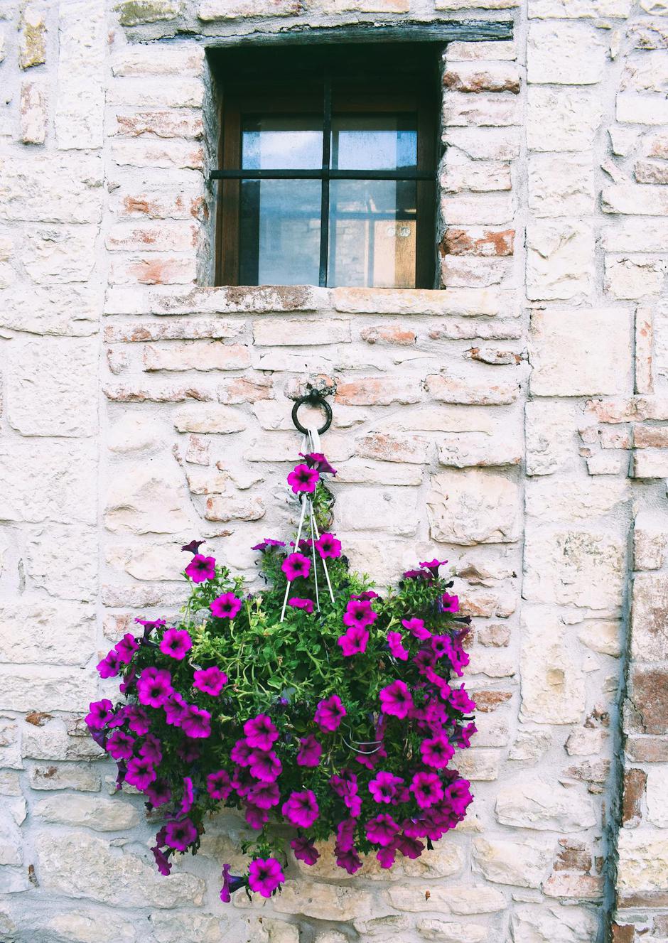  | Autor: Pexels/Magali Guimarães