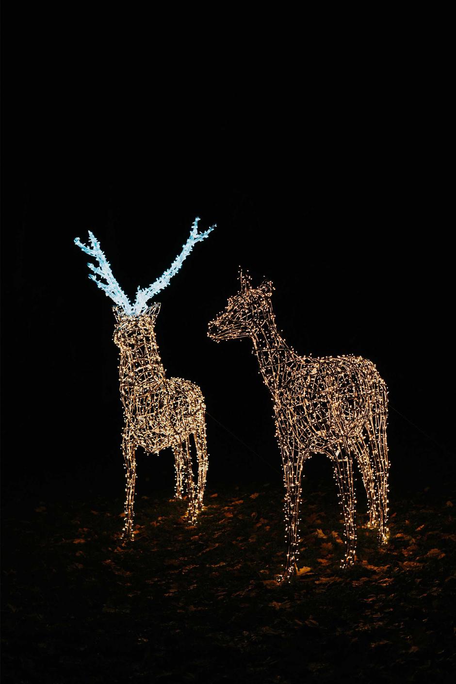  | Autor: PR/Mihael Vukoje