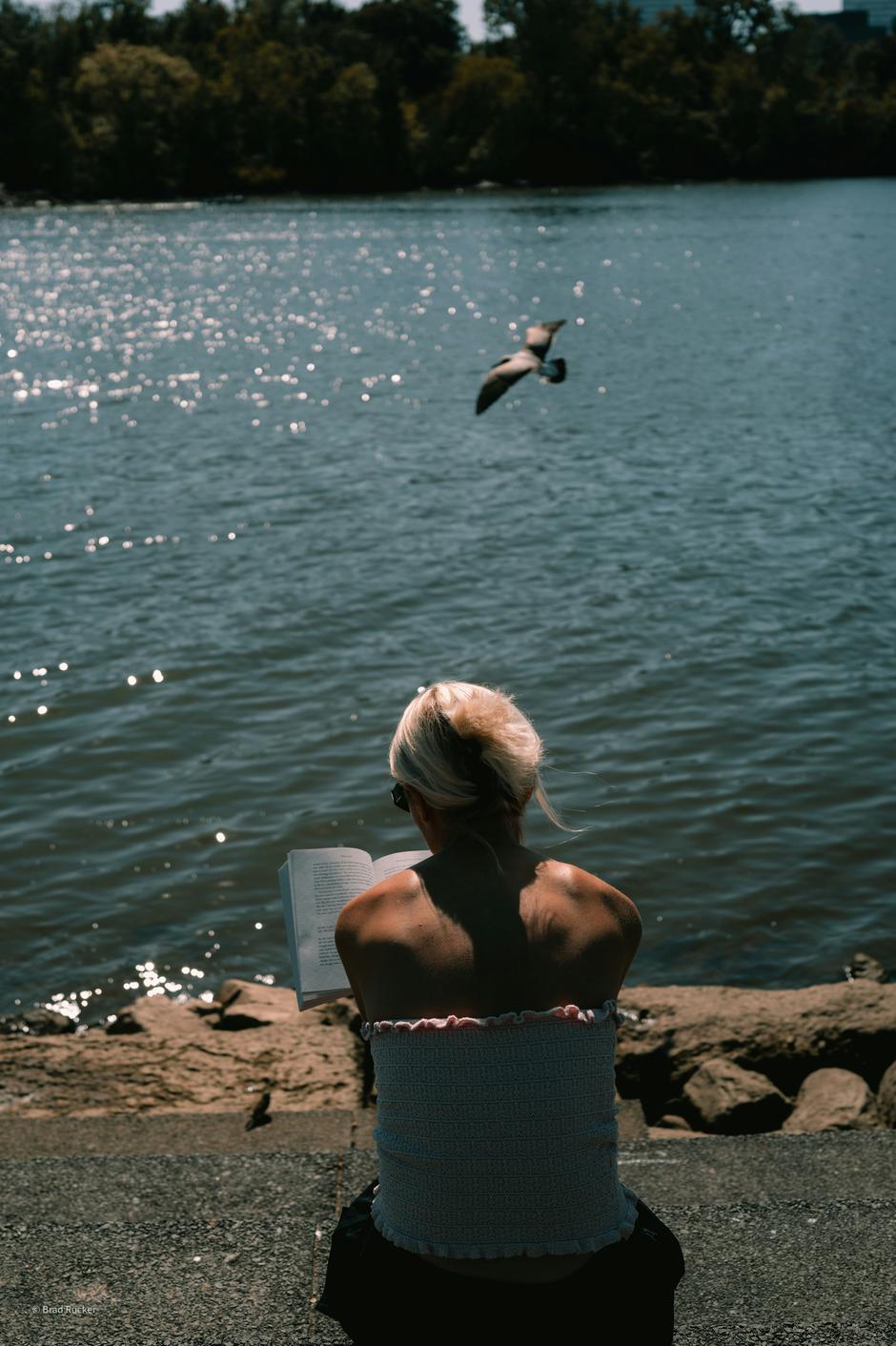  | Autor: Unsplash/Brad Rucker