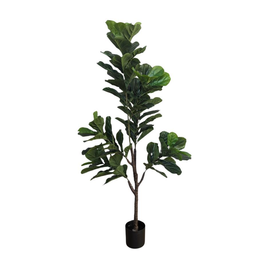  | Autor: Dobar partner