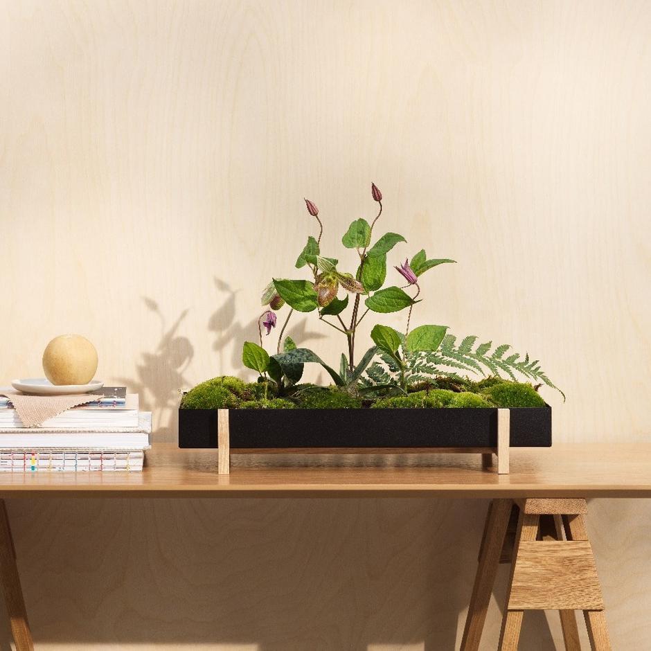  | Autor: Dizajnholik