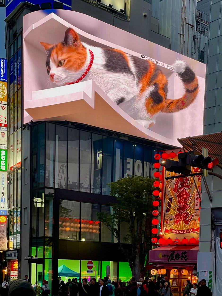  | Autor: Unsplash/Yash Banka