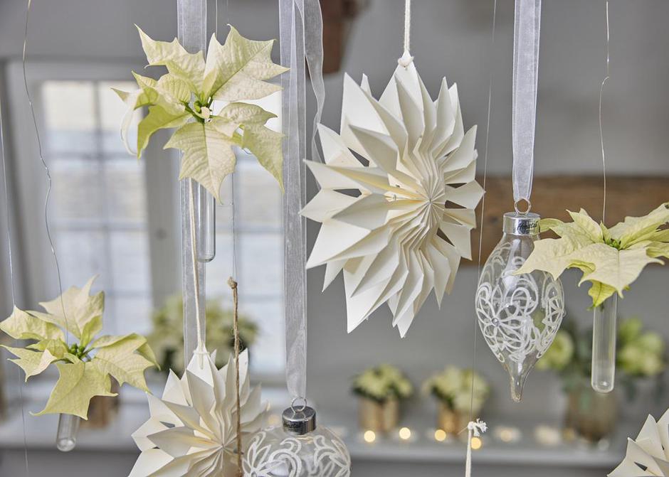  | Autor: Stars of Europe