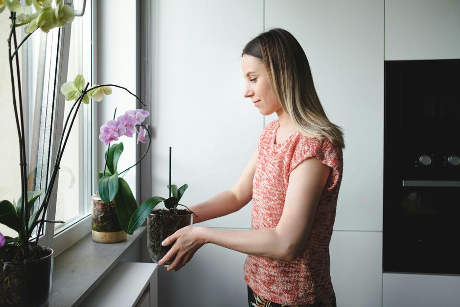  | Autor: Unsplash/Getty Images