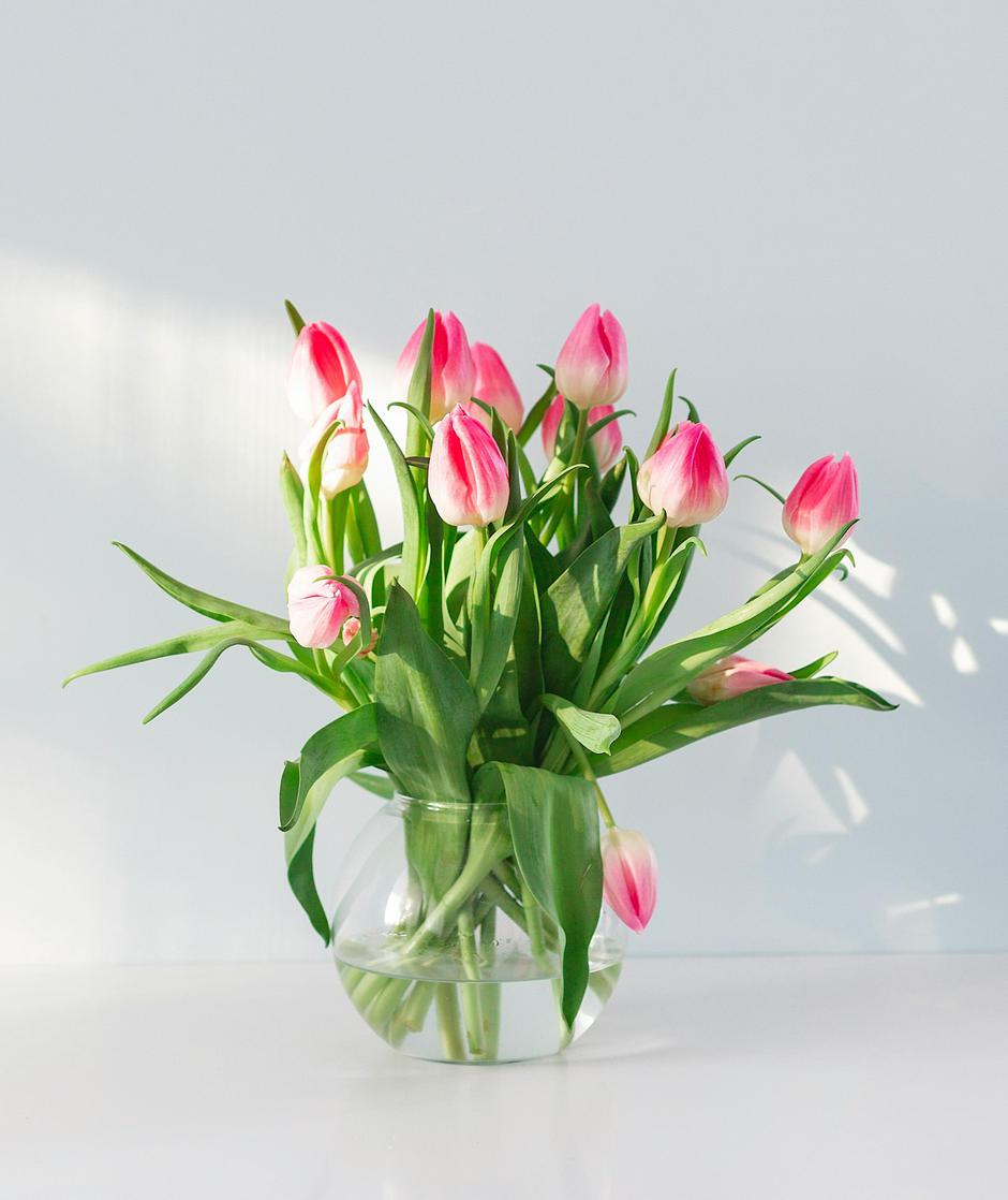  | Autor: Unsplash / Uljana Borodina