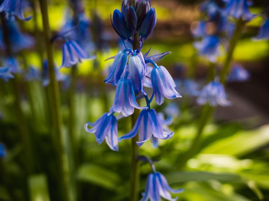  | Autor: Pexels/Sonny Sixteen
