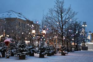 FOTO: Hrvatska se dobrano zabijelila, evo najljepših prizora gradova pod snježnim pokrivačem