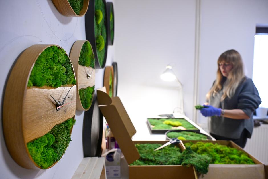  | Autor: Pixsell/Igor Šoban