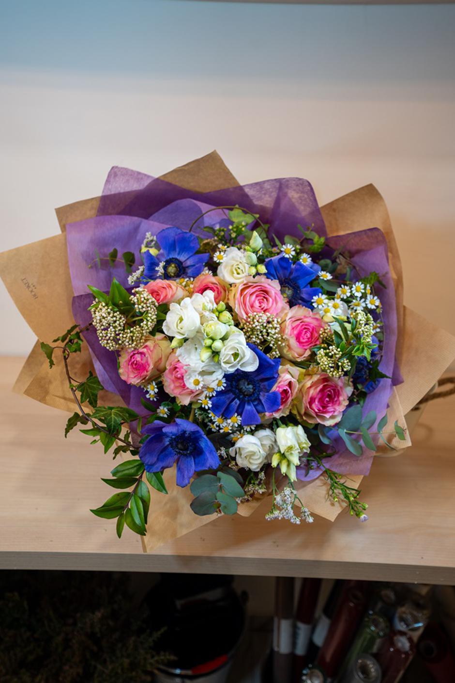  | Autor: Luka Frketić