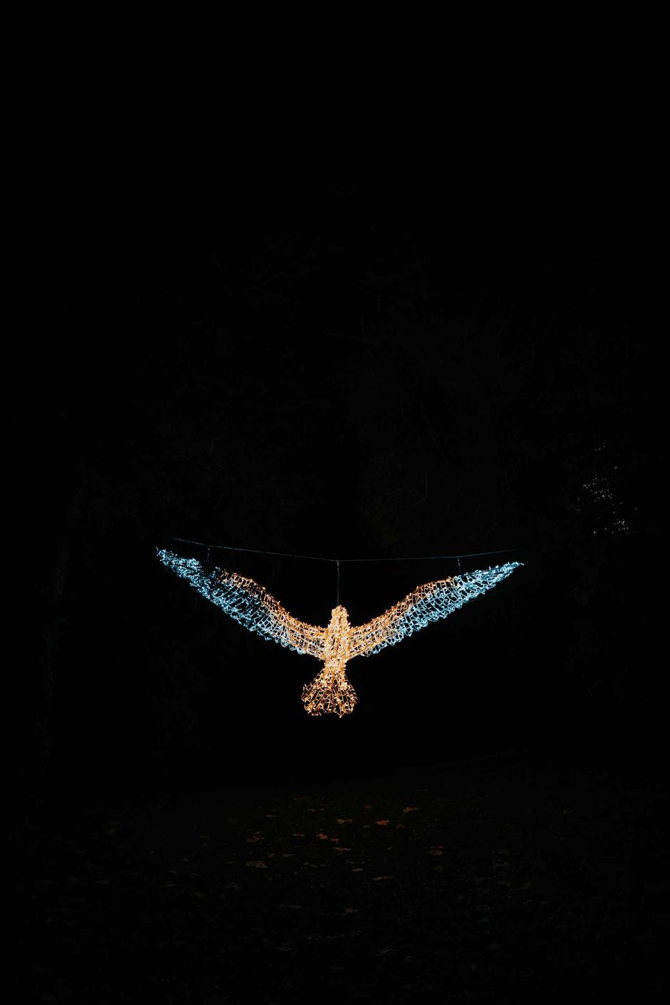  | Autor: PR/Mihael Vukoje