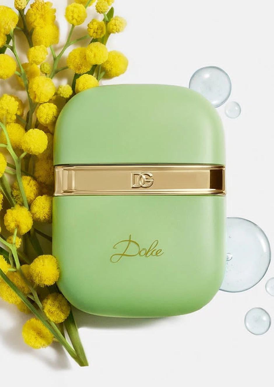  | Autor: Dolce&Gabbana