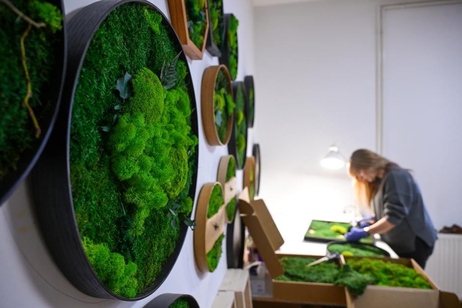  | Autor: Pixsell/Igor Šoban